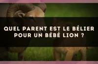 Quel parent est le Bélier pour un bébé Lion ?