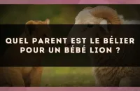 Quel parent est le Bélier pour un bébé Lion ?