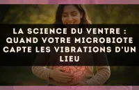 La science du ventre : quand votre microbiote capte les vibrations d'un lieu
