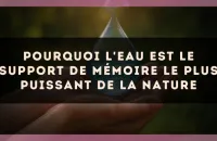 Pourquoi l'eau est le support de mémoire le plus puissant de la nature