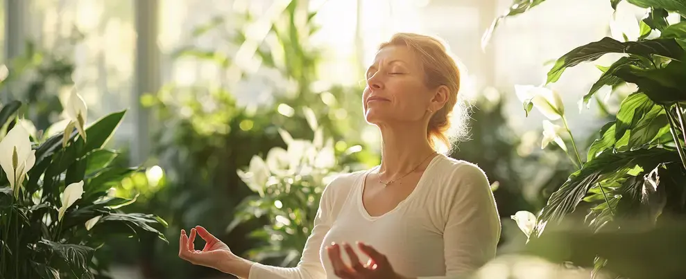 Les plantes qui purifient l'air et favorisent une ambiance sereine